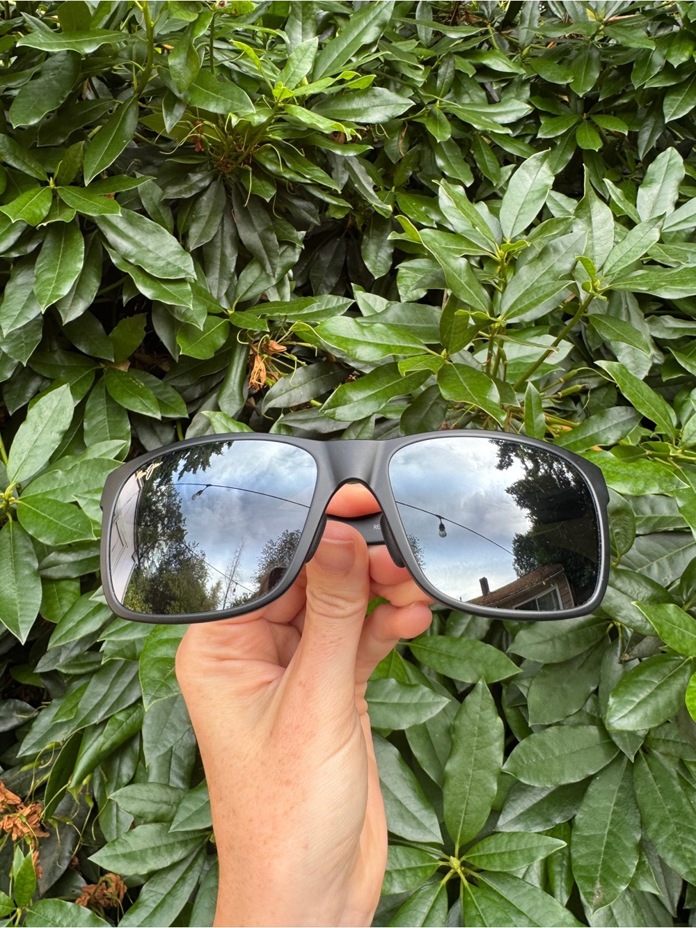 Polarized Maui Jim Sunglasses